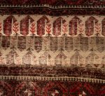 Torkaman - Image 5