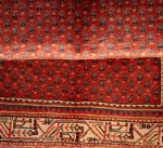 Arak - Image 5