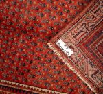 Arak - Image 4