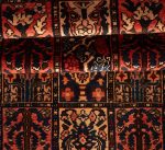 Bakhtiar - Image 4