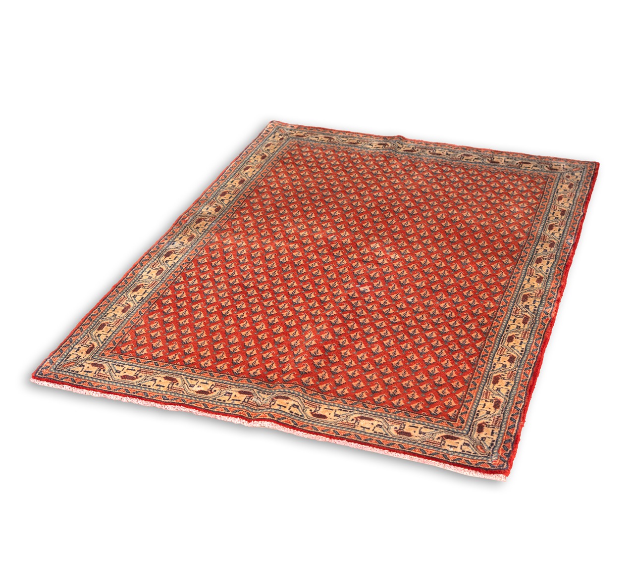 DSC01109-Edit_1_11zon Gabbeh Giza - Yellow (Copy) (Copy) - Image 1