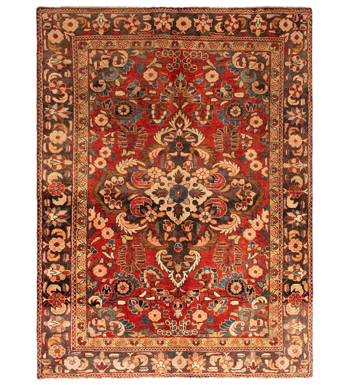 DSC07015-Edit_5_11zon Bakhtiar - Image 1