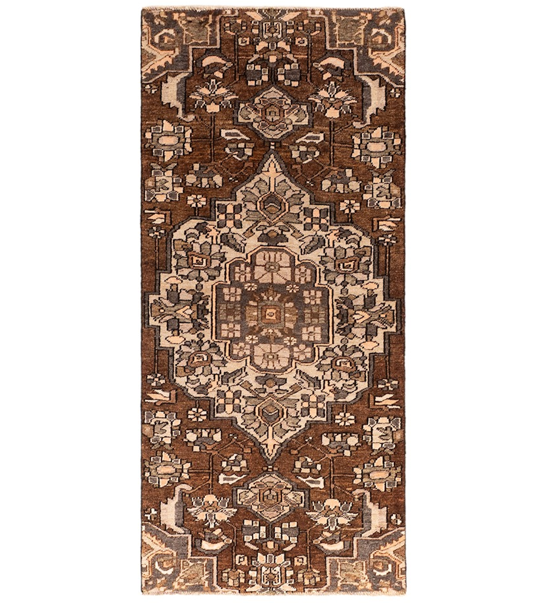 DSC07113-Edit_5_11zon-1 Bakhtiar - Image 1