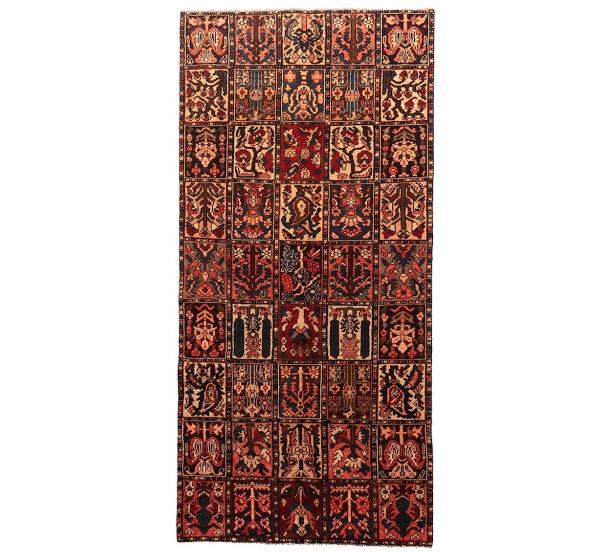 DSC07124-Edit_6_11zon Bakhtiar - Image 1