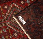 Shiraz - Image 4