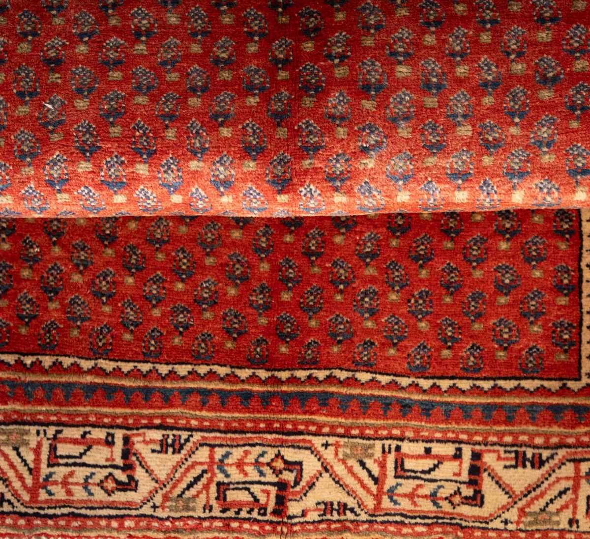 Hand Knotted Arak Rug – Floral Pattern – 150 × 100 cm – Red - Image 5