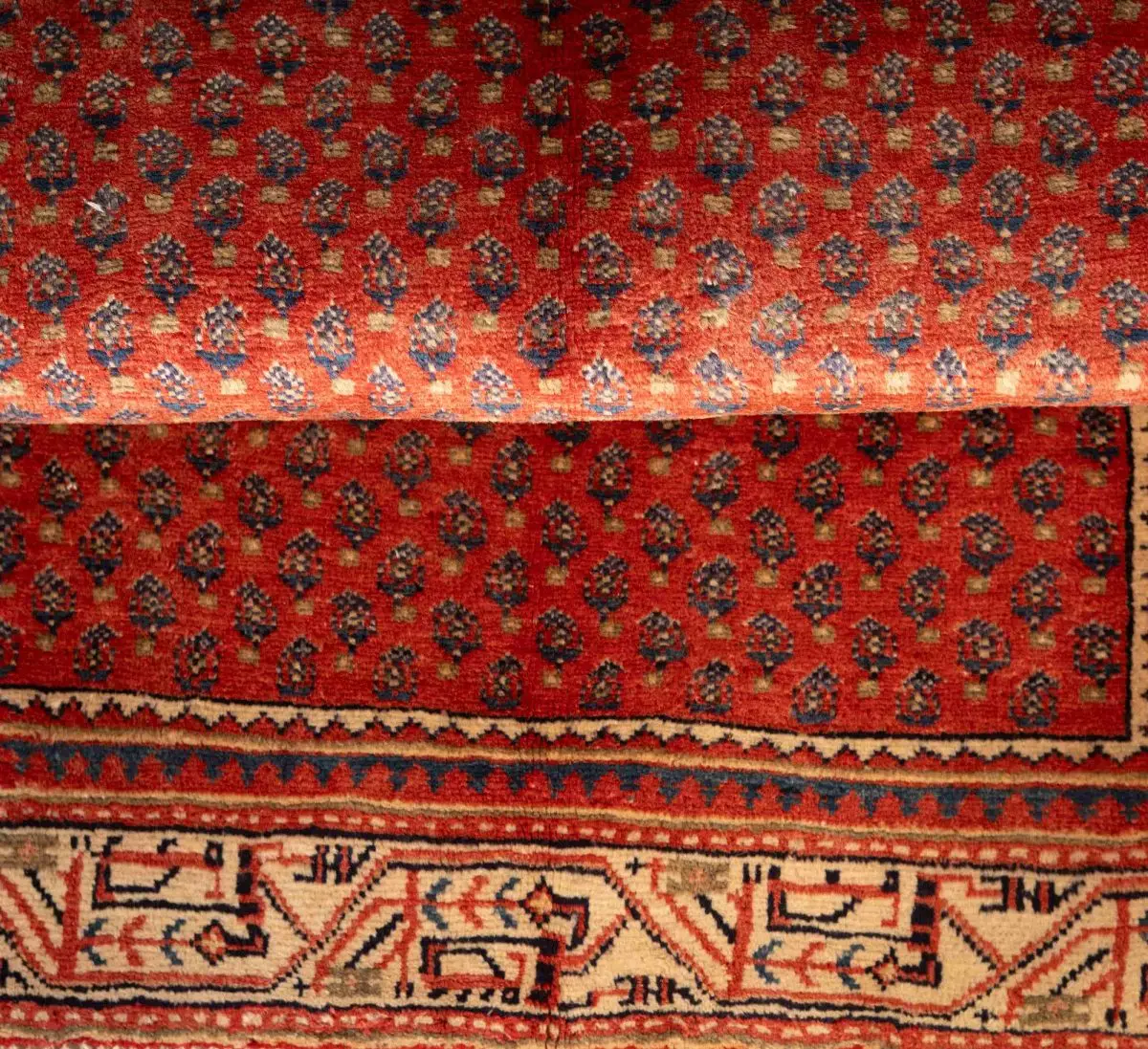 Hand Knotted Arak Rug – 150 × 100 cm – Red - Image 5