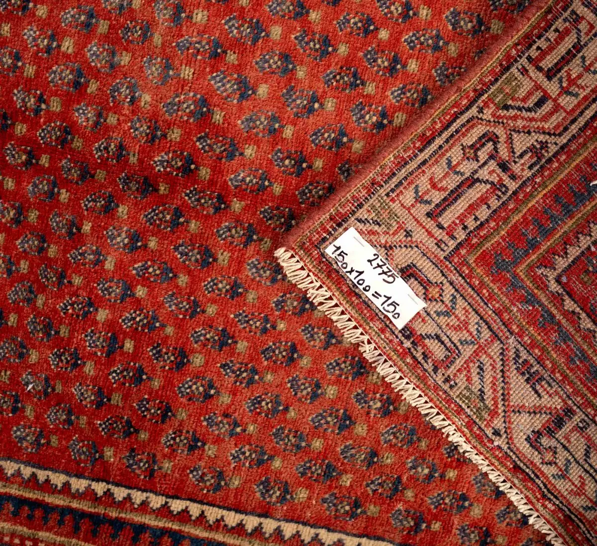Hand Knotted Arak Rug – 150 × 100 cm – Red - Image 4
