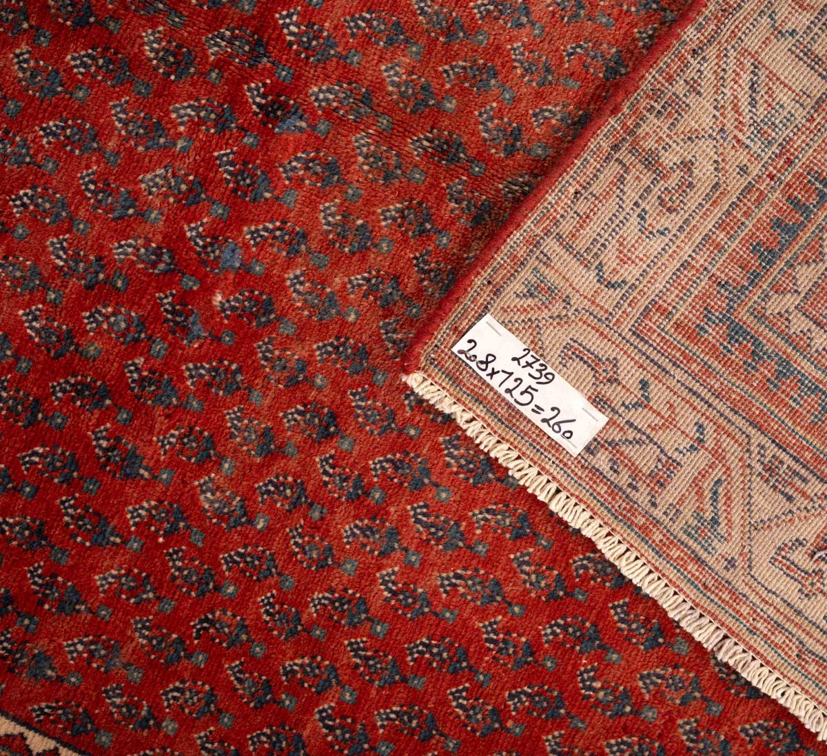 Hand Knotted Sarough Rug – Floral Pattern – 208 × 125 cm – Red - Image 4