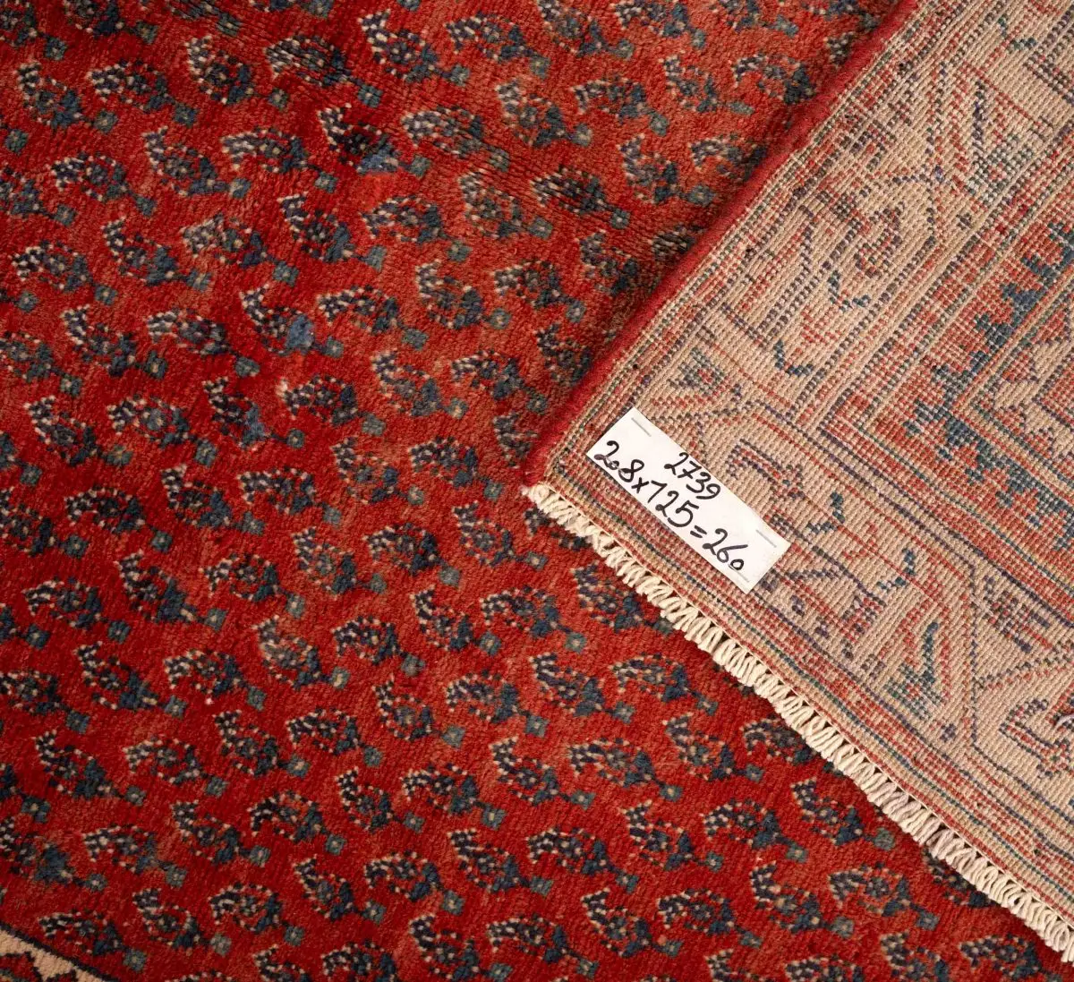 Hand Knotted Sarough Rug – Floral Pattern – 208 × 125 cm – Red - Image 4
