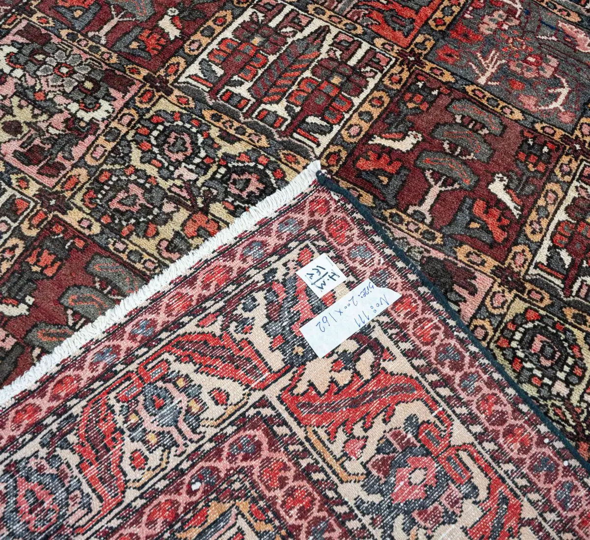 Hand Knotted Bakhtiari Rug - 200 × 162 cm - Image 5